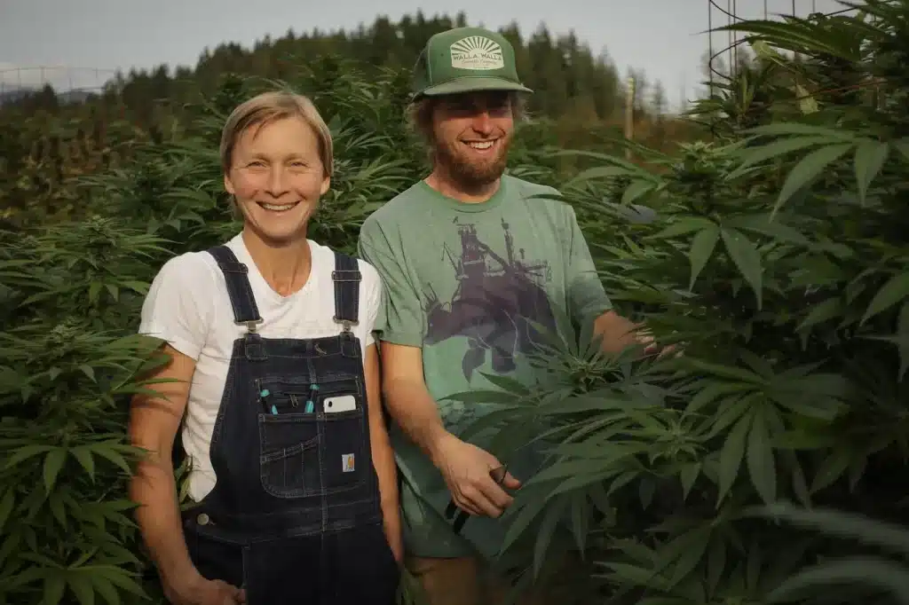 Team at Eagle Trees Cannabis Farm