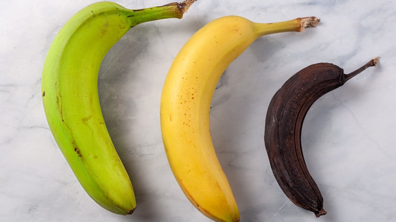 Bananas in Different Stages of Life to Represent Weed Strain That Starts With D Dirty Banana