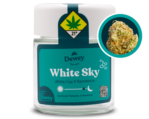 White Sky Strain from Dewey Cannabis