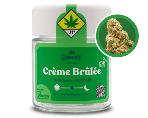 Creme Brulee Strain from Dewey Cannabis