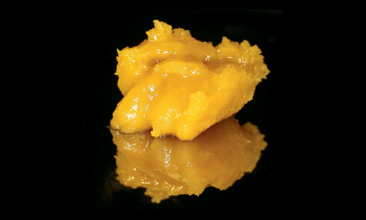 Cannabis Concentrate Extract Badder Consistency