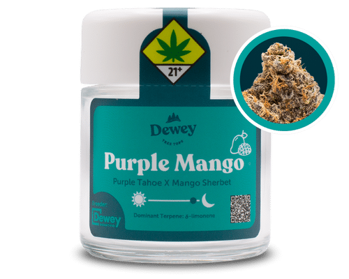 Purple Mango Cannabis Strain from Dewey Cannabis