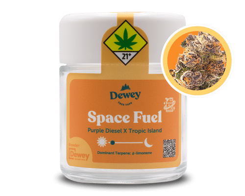 Space Fuel Strain from Dewey Cannabis
