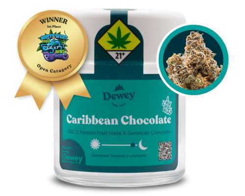 Caribbean Chocolate Strain from Dewey Cannabis