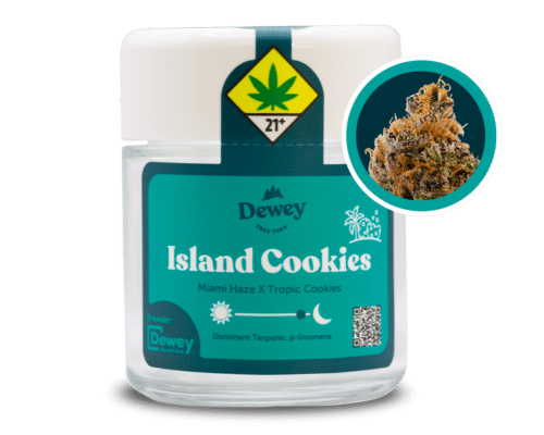 Island Cookies Strain from Dewey Cannabis