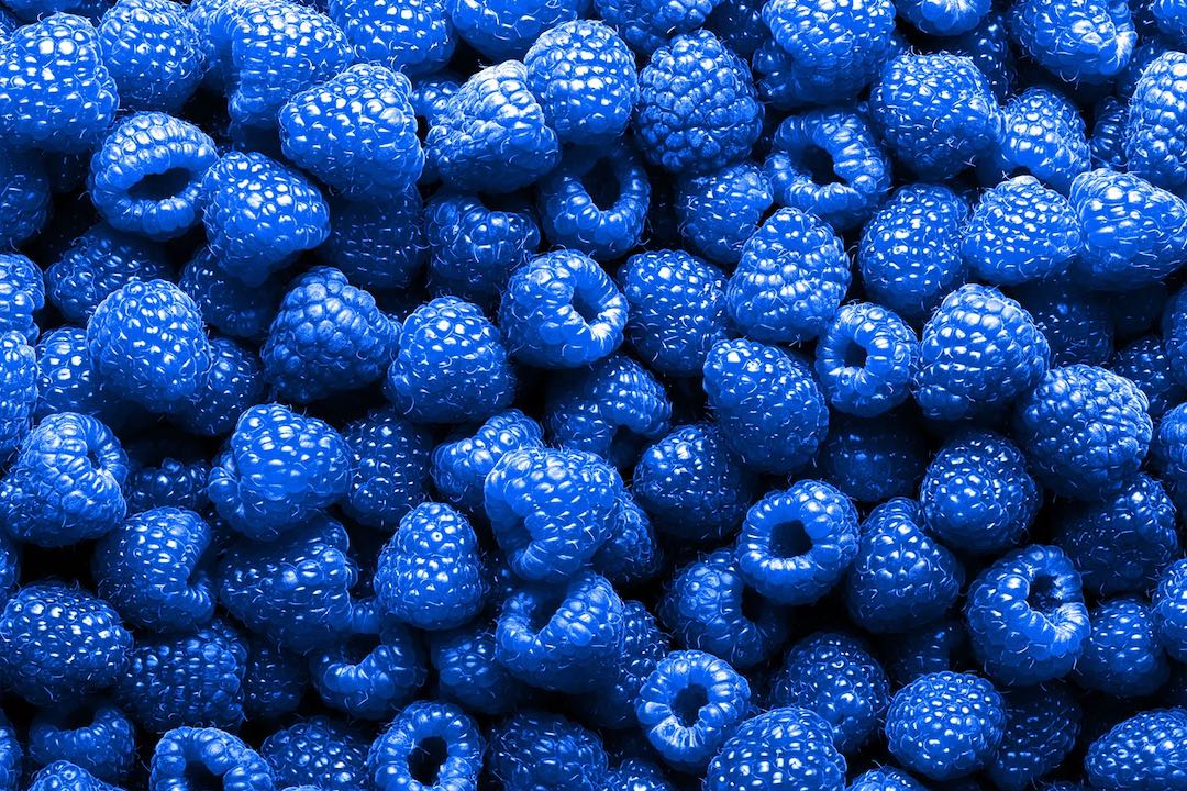 Blue Raspberries to Represent the Strain Blue Raspberry from Root Down