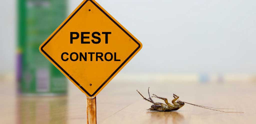 Pest Control Sign Next to Dead Bug