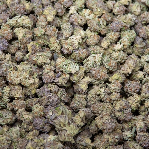 Small Buds of Cannabis