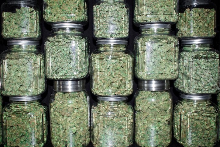 Cannabis Curing in Jars