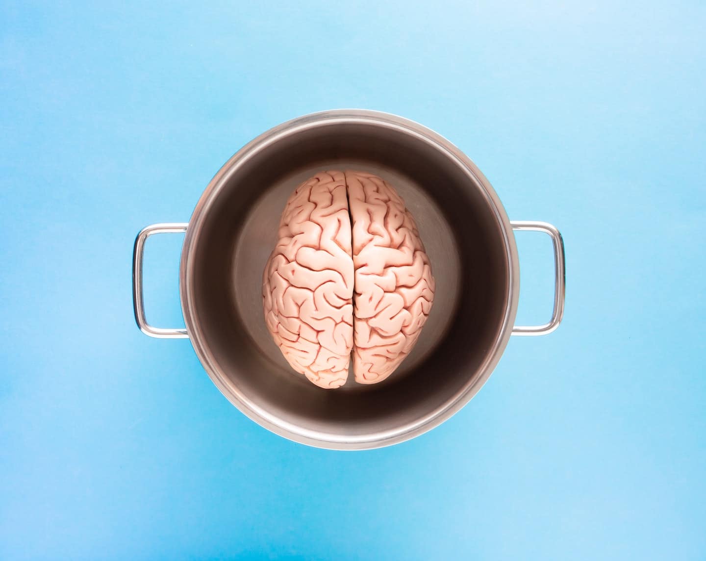 Brain in a Pot to Represent the Strain Memory Loss from Root Down