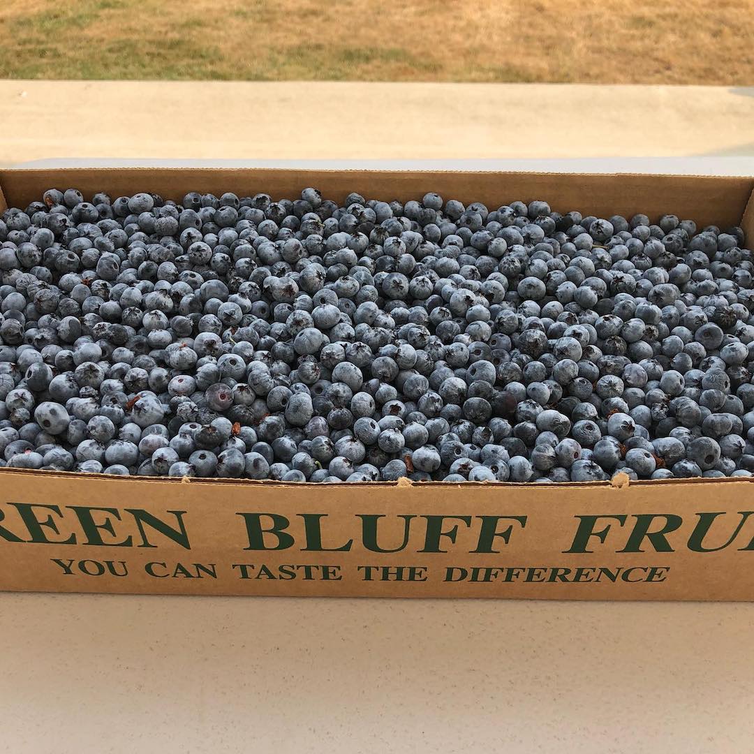 Blueberries at Green Bluff