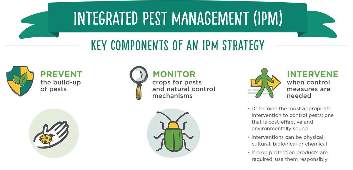 Integrated Pest Management (IPM) Infographic