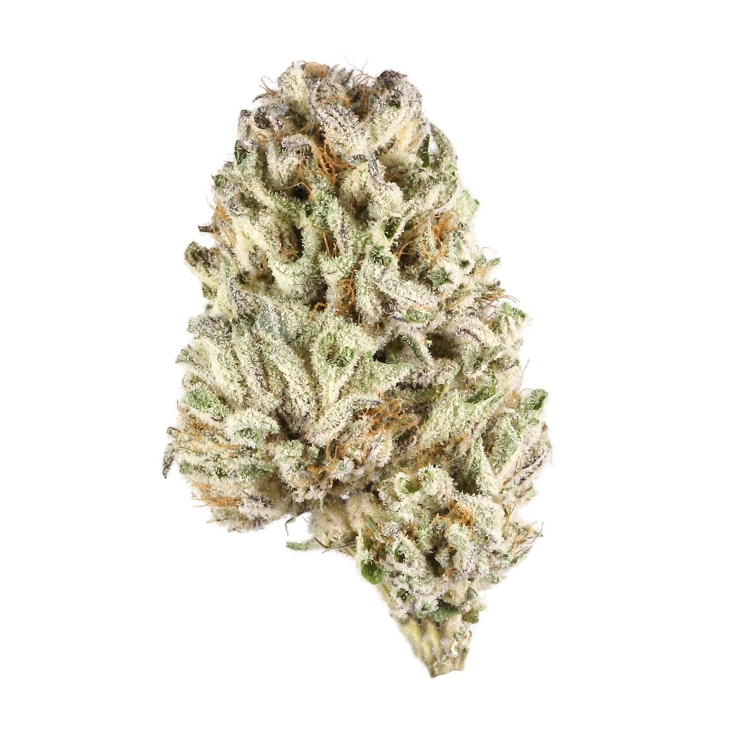 Cannabis/Weed/Marijuana Bud Bahama Mama Strain