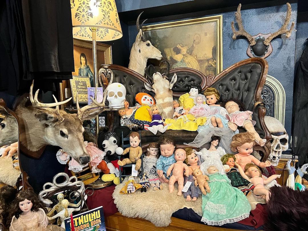 Dolls, deer head, and other oddities at Petunia and Loomis shop