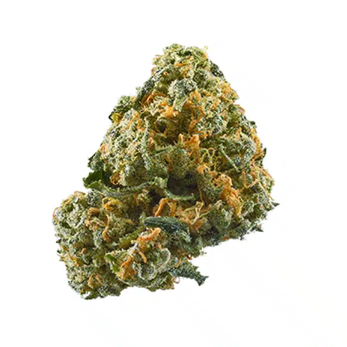 Cannabis/Weed/Marijuana Strain Nug Wonder Kid Strain
