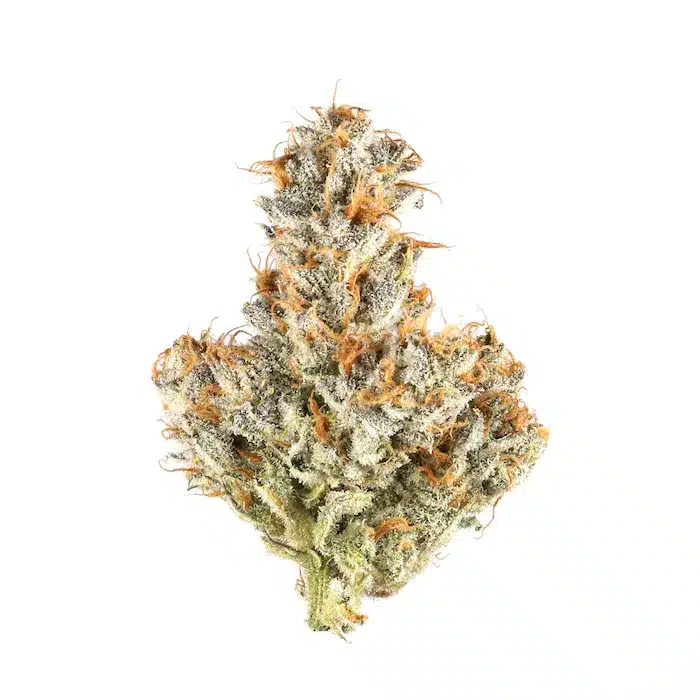 Cannabis/Weed/Marijuana Nug Inzane in the Membrane Strain