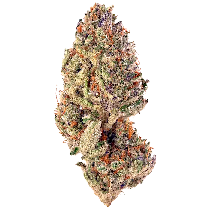 Cannabis/Weed/Marijuana Nug Mindscape Strain