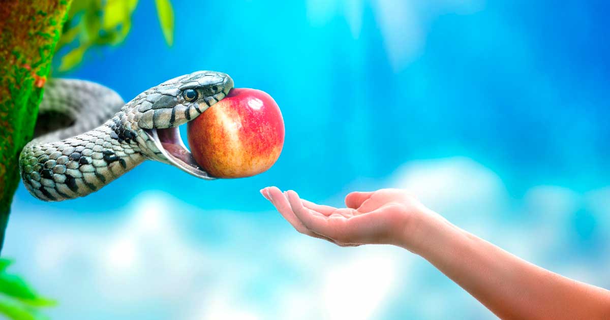 Hand Reaching out for an Apple in the Mouth of a Snake