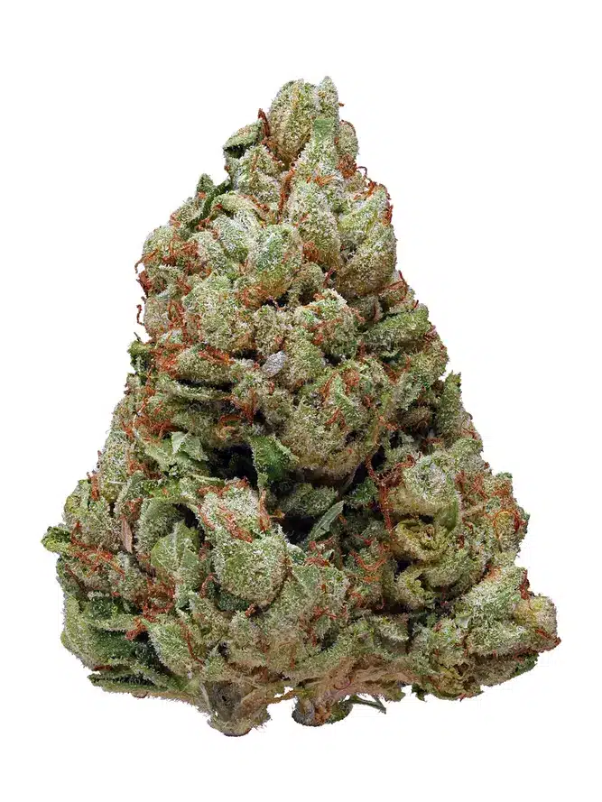 Presidential Kush Weed Cannabis Strain