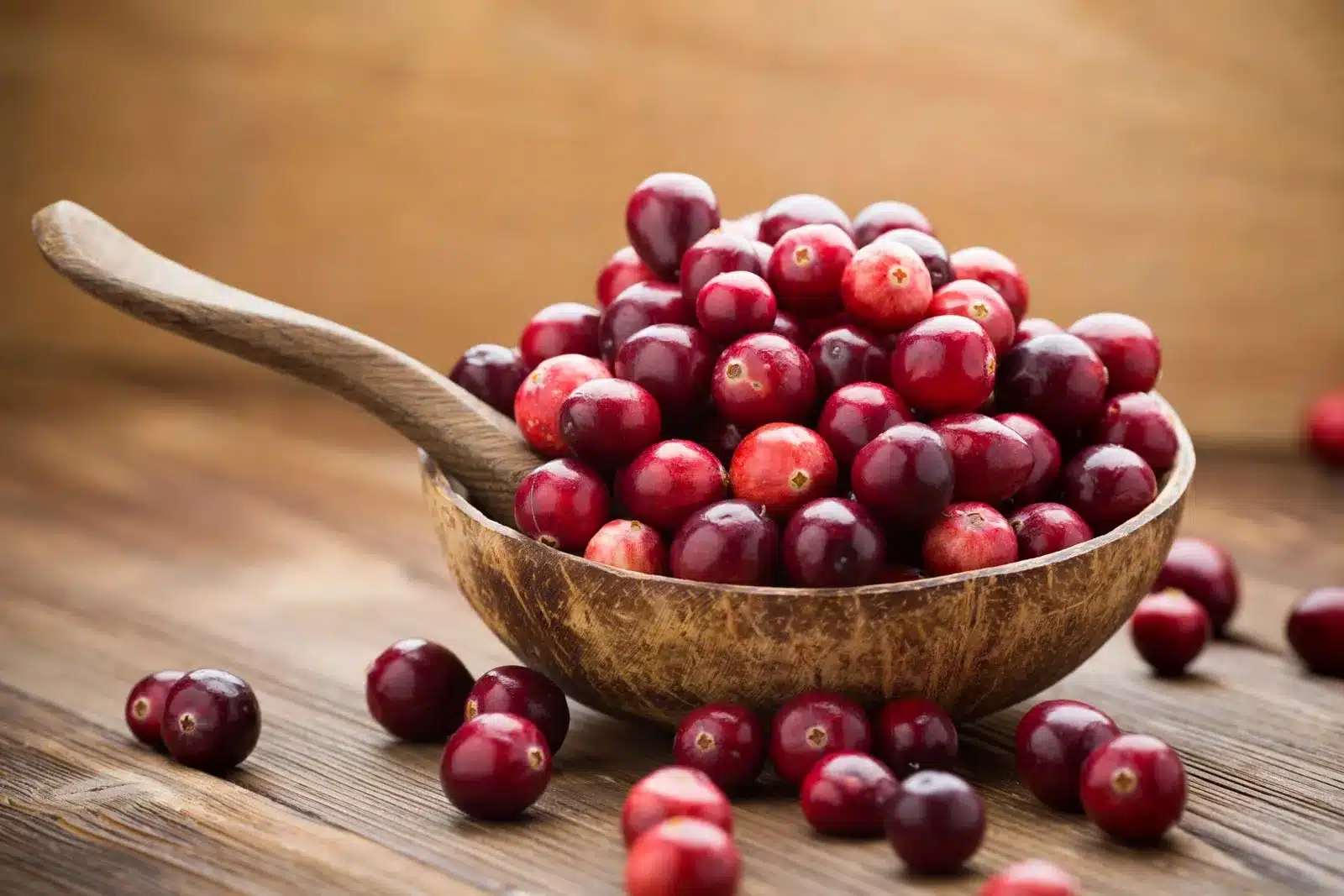 Cranberries in a Bowl