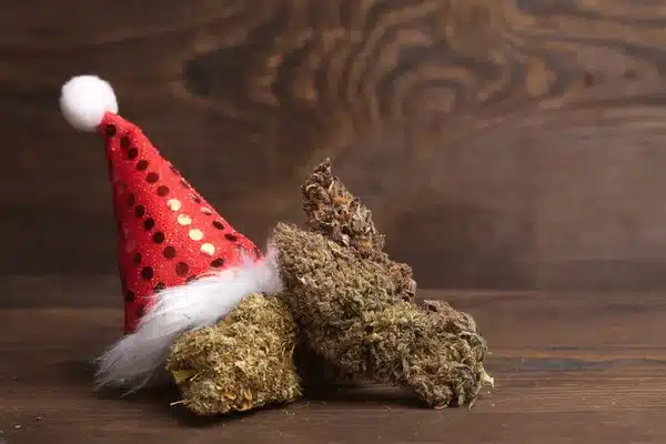 Best Holiday Cannabis Options Available at Cinder