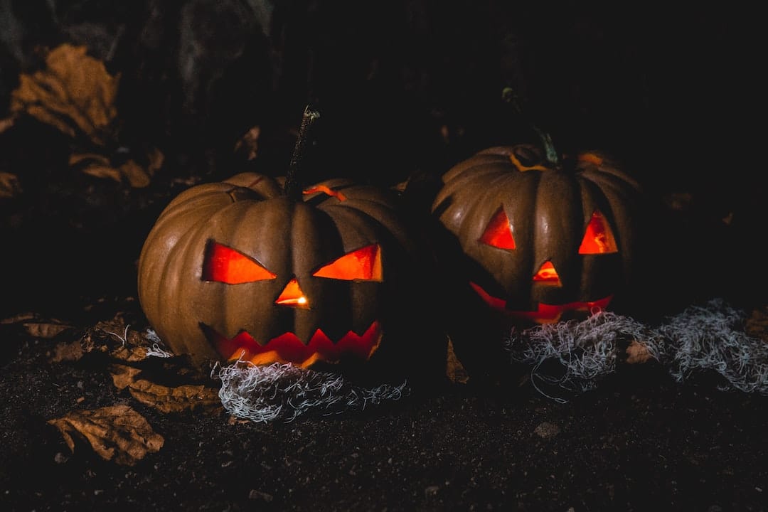 Halloween Jack' o Lanterns Pumpkins