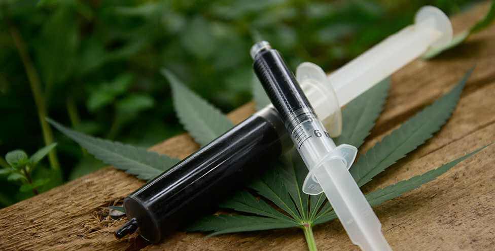 Syringe of Rick Simpson Oil (RSO) Cannabis Distillate Concentrate