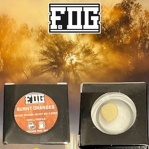 FOG Rosin Cannabis Dab Extract Strain Burnt Oranges