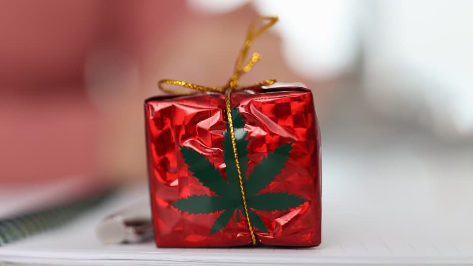 Holiday Gift Guide | What Presents to Buy for Your Favorite Stoner