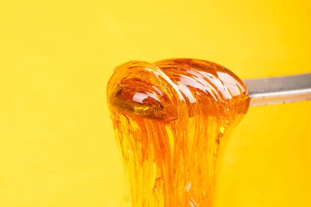 Top 10 Best Dab Extracts | Cannabis Holiday Gift Guide