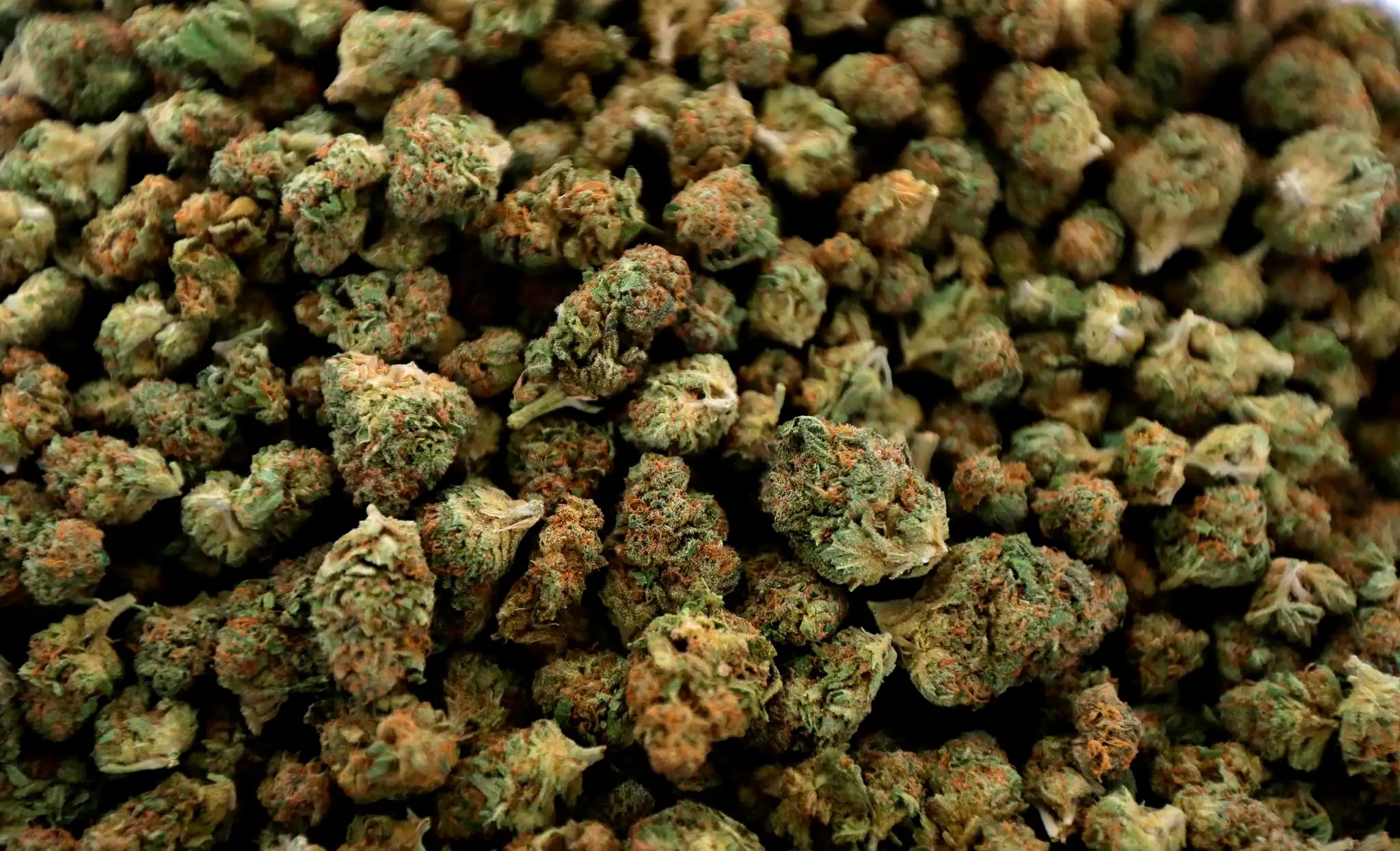 Cannabis Weed Nug Bud Flower Marijuana