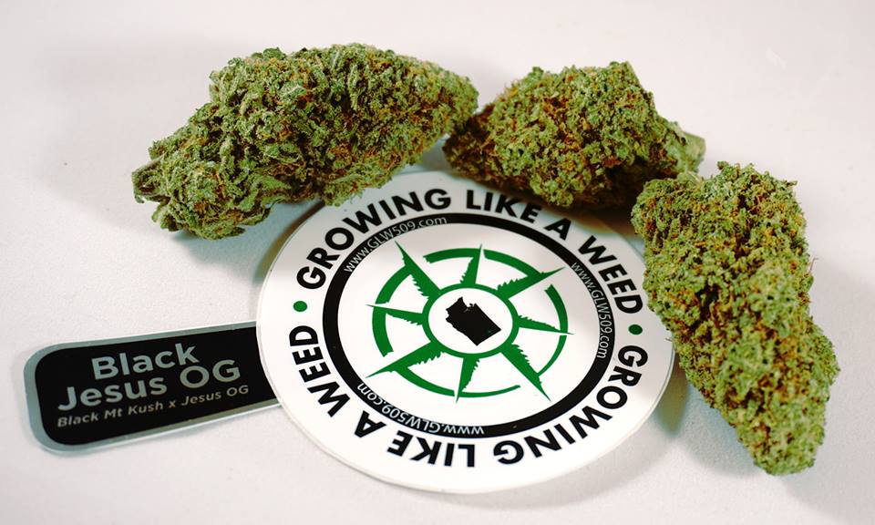 Growing Like a Weed GLW Cannabis Flower