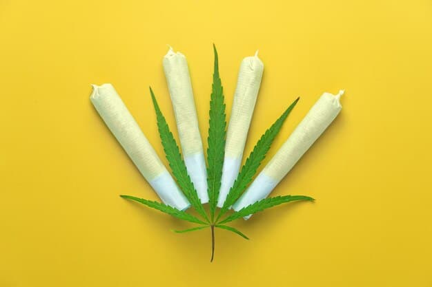 Top 10 Best Pre-rolls | Cannabis Holiday Gift Guide