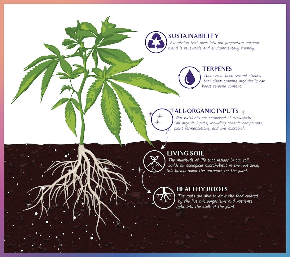 Sweetwater Farms Cannabis Grown In Living Soil Infographic