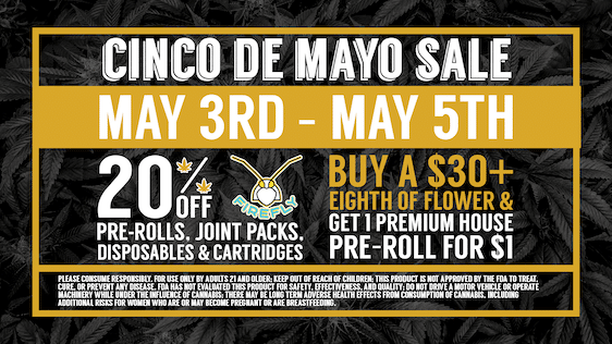 Cinco de Mayo Sale & Upcoming Celebrations in New Mexico