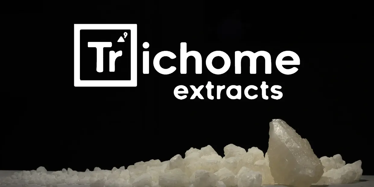 Trichome Extracts Cannabis