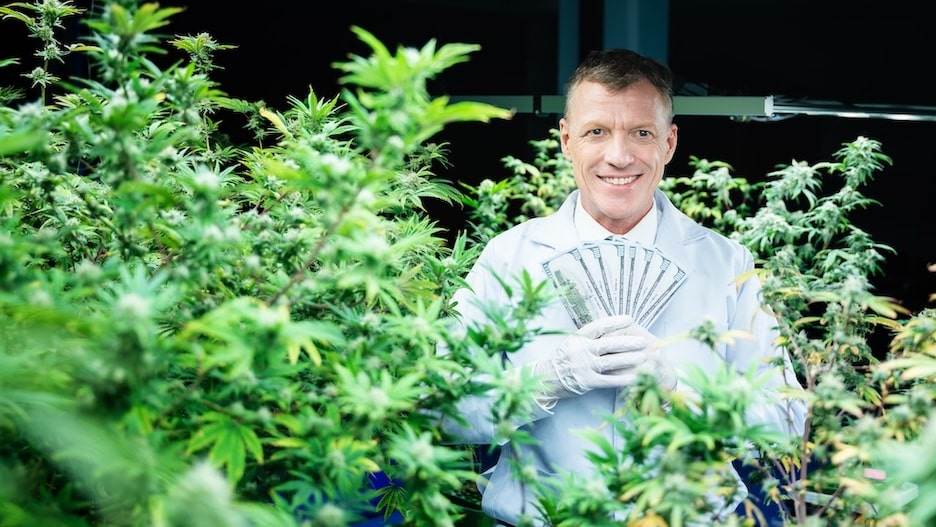 Man Holding Money Amidst Cannabis Plants