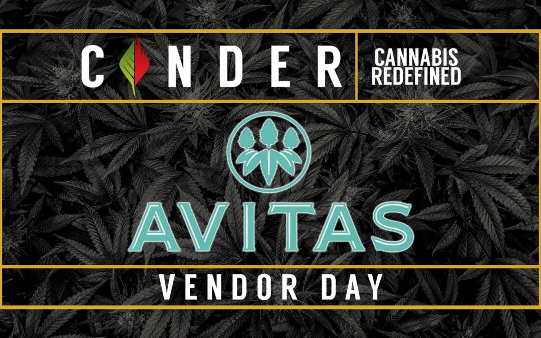 Avitas Vendor Day In Downtown Spokane