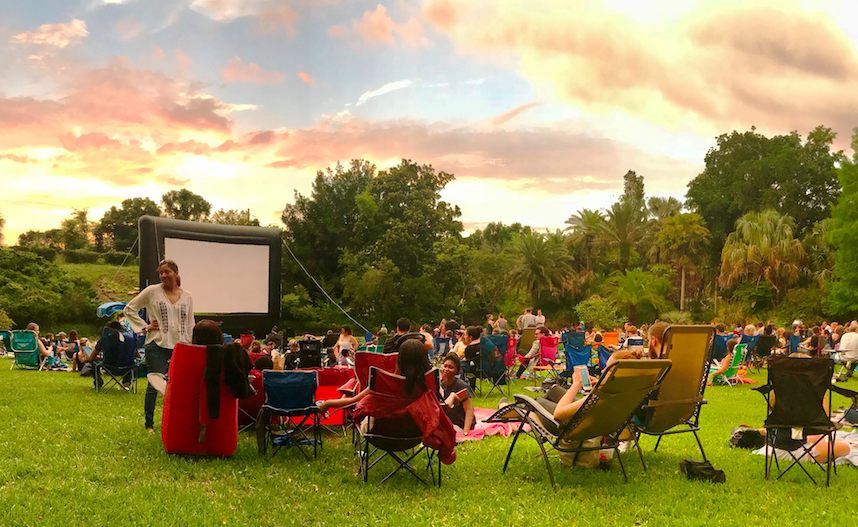 Best Edibles in New Mexico for Those Movies in the Park