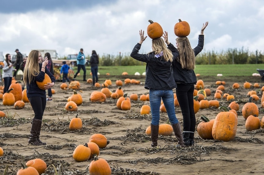 Young Women at a Pumpkin Patch in GreenBluff, Spokane Washington