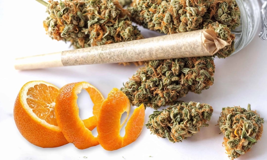 Cannabis Pre-roll Cannabis Flower Orange Peel to Represent Flavor