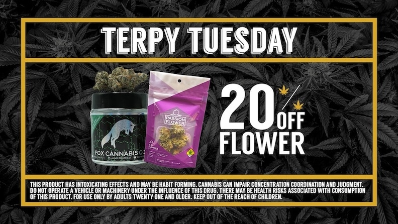 Cinder Daily Deal Terpy Tuesday