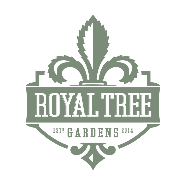 royal tree gardens cannabis downtown spokane