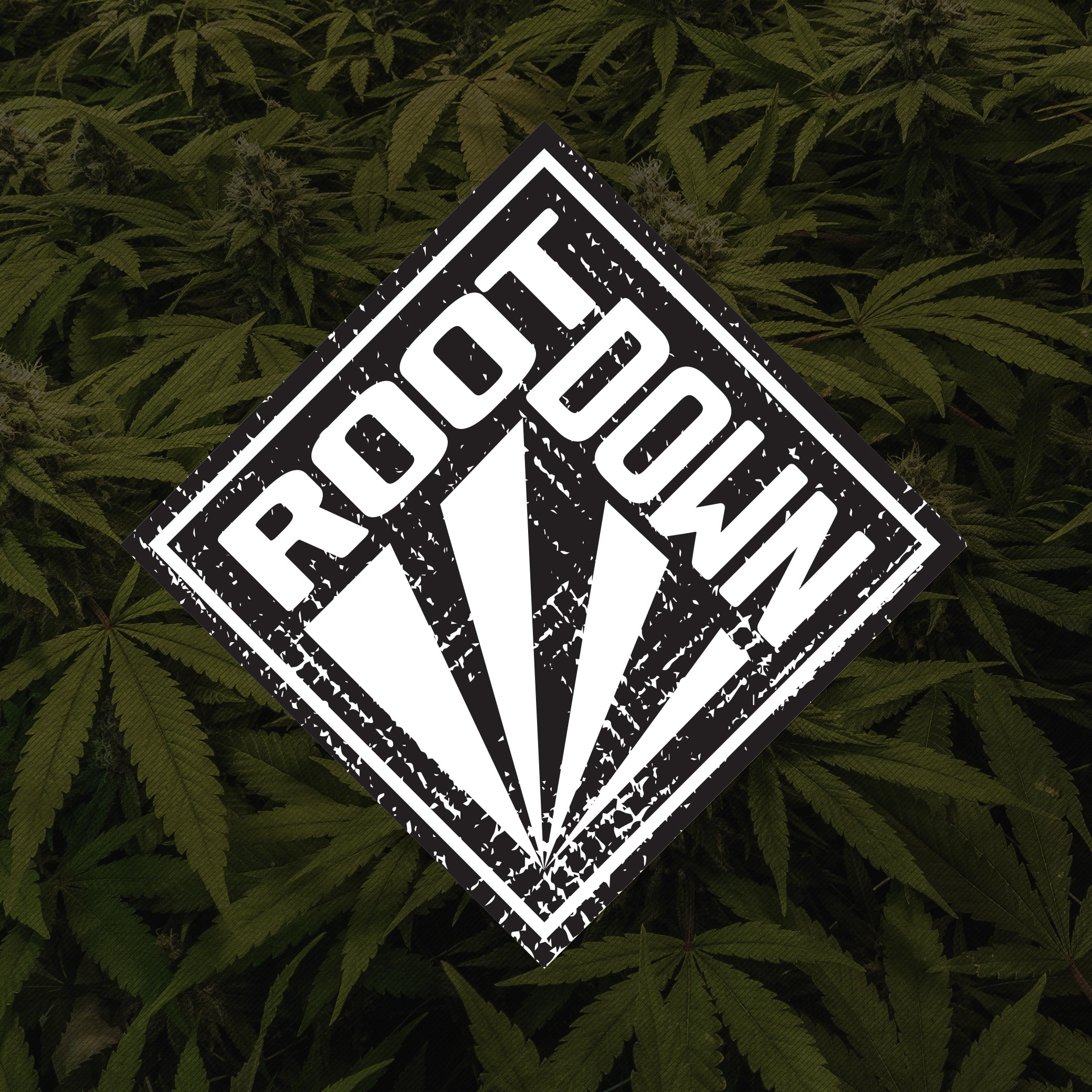 root down vendor day downtown spokane dispensary