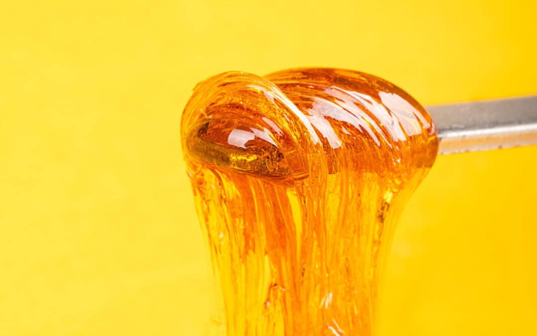 Top 10 Best Dab Extracts | Cannabis Holiday Gift Guide