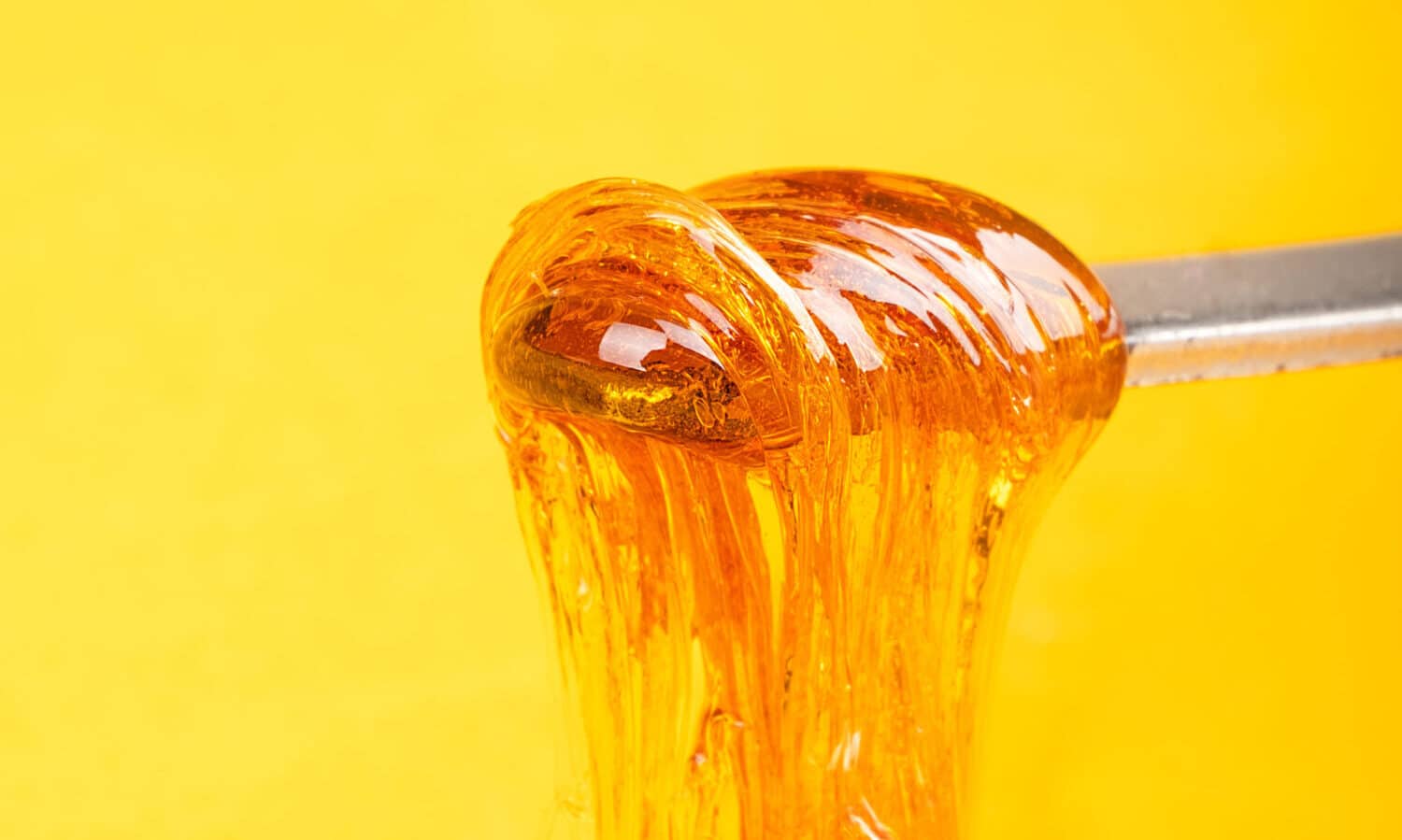 Cannabis Dab Extract Concentrate on a Yellow Background