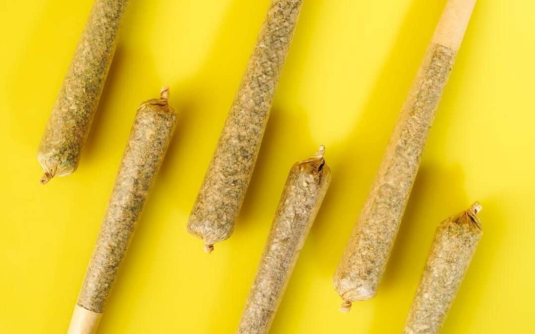 Top 10 Best Pre-rolls | Cannabis Holiday Gift Guide