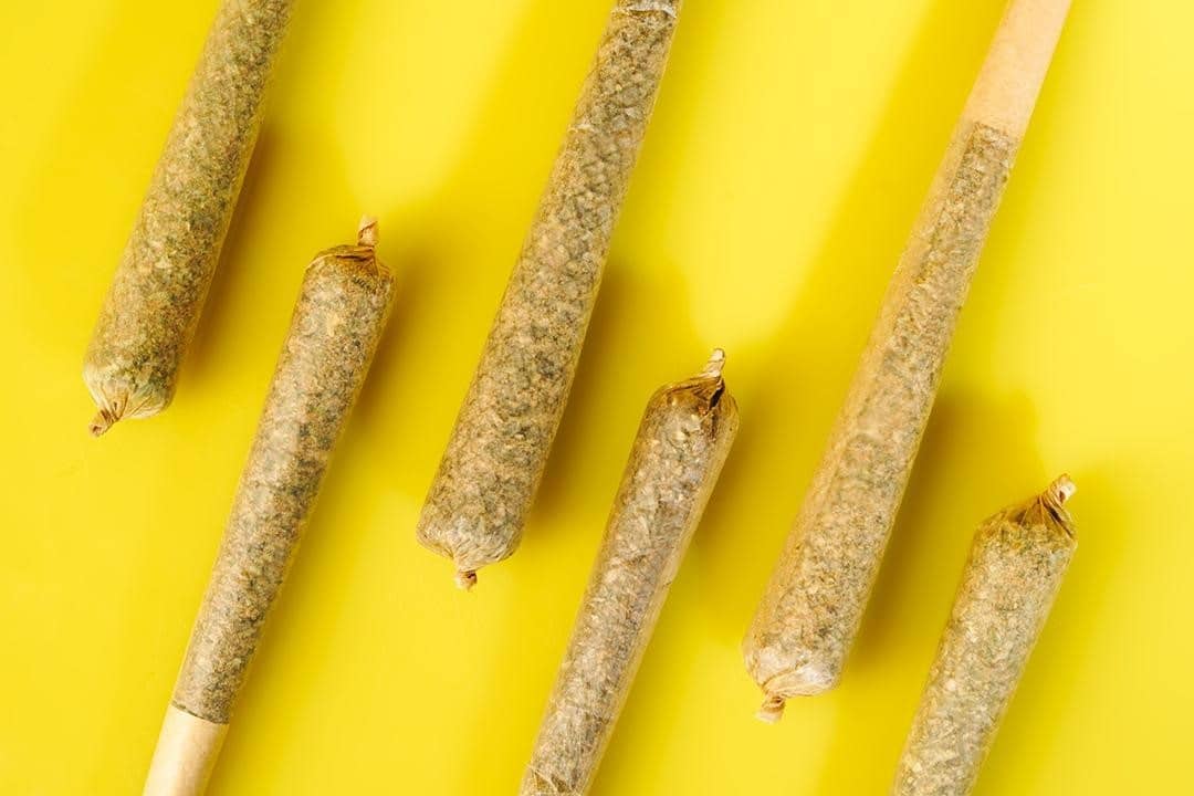 Cannabis Pre-roll Joints on Yellow Background