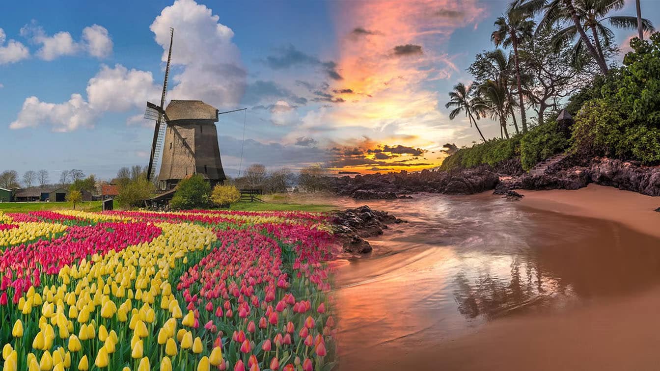 Dutch and Hawaiian Landscapes to Represent the Cannabis Strain Dutch Hawaiian