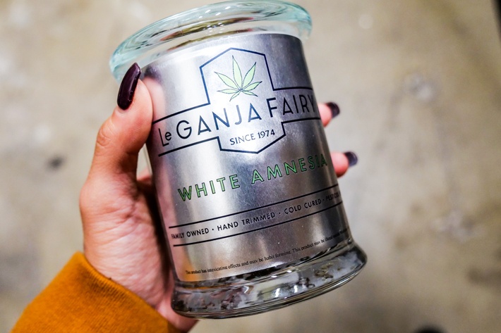 Le Ganja Fairy Spokane 14g of White Amnesia